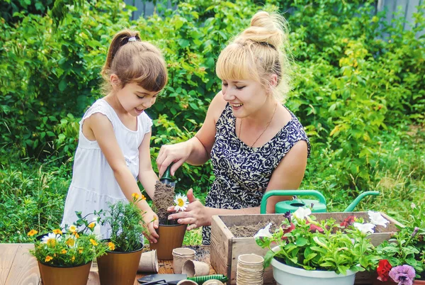 Liten Flicka Planterar Blommor Den Unga Trädgårdsmästaren Selektiv Inriktning — Stockfoto