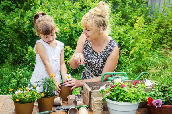 Liten Flicka Planterar Blommor Den Unga Trädgårdsmästaren Selektiv Inriktning — Stockfoto