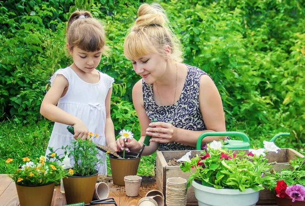 Little Girl Planting Flowers Young Gardener Selective Focus — Stock Photo, Image