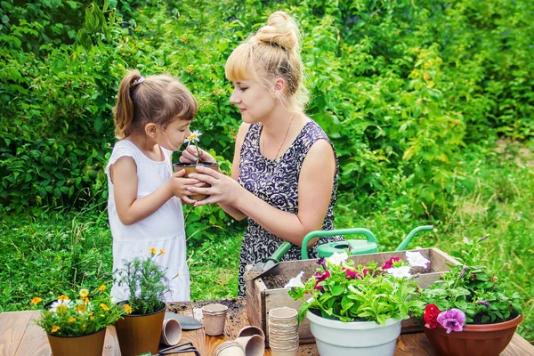 Une Petite Fille Plante Des Fleurs Jeune Jardinier Concentration Sélective — Photo