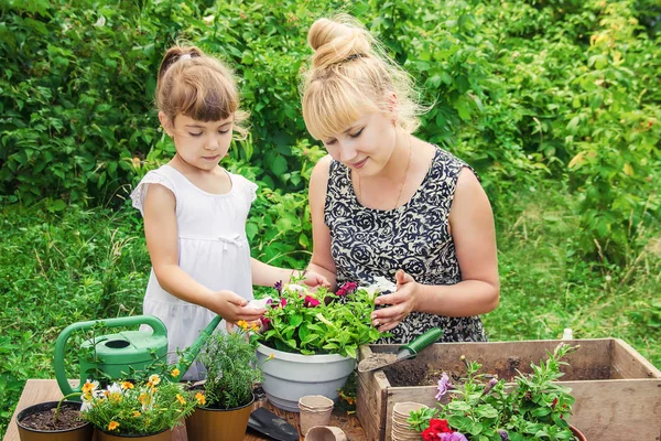 Little Girl Planting Flowers Young Gardener Selective Focus — Stock Photo, Image