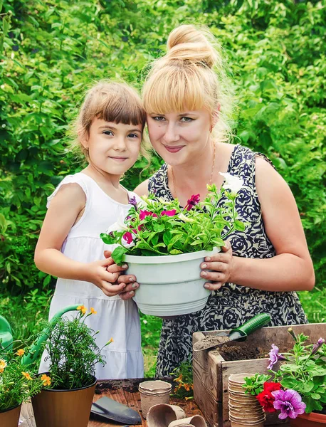 Liten Flicka Planterar Blommor Den Unga Trädgårdsmästaren Selektiv Inriktning — Stockfoto