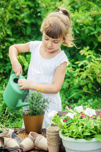 Una Niña Está Plantando Flores Joven Jardinero Enfoque Selectivo — Foto de Stock