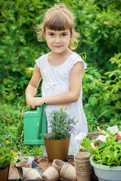 Seorang Gadis Kecil Menanam Bunga Tukang Kebun Muda Fokus Selektif — Stok Foto
