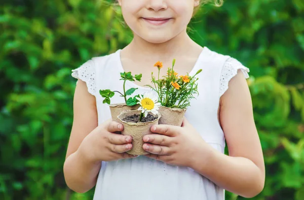 Uma Menina Está Plantando Flores Jovem Jardineiro Foco Seletivo — Fotografia de Stock