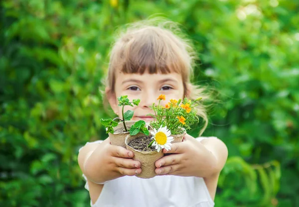 Una Niña Está Plantando Flores Joven Jardinero Enfoque Selectivo — Foto de Stock