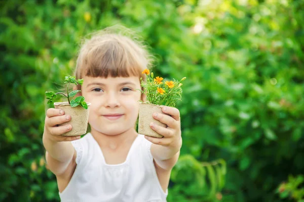 Uma Menina Está Plantando Flores Jovem Jardineiro Foco Seletivo — Fotografia de Stock