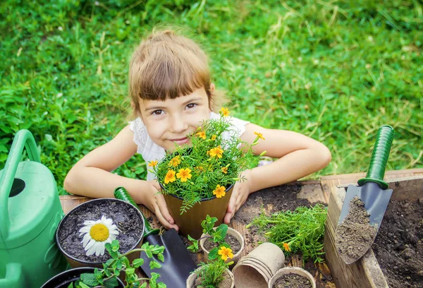 Маленька Дівчинка Саджає Квіти Молодий Садівник Вибірковий Фокус — стокове фото