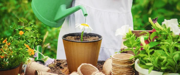 Una Niña Está Plantando Flores Joven Jardinero Enfoque Selectivo — Foto de Stock