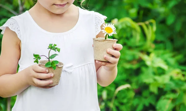 Une Petite Fille Plante Des Fleurs Jeune Jardinier Concentration Sélective — Photo