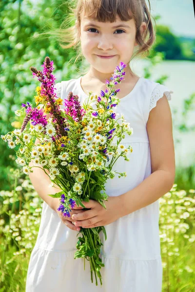 Enfant Avec Bouquet Fleurs Sauvages Concentration Sélective Nature — Photo