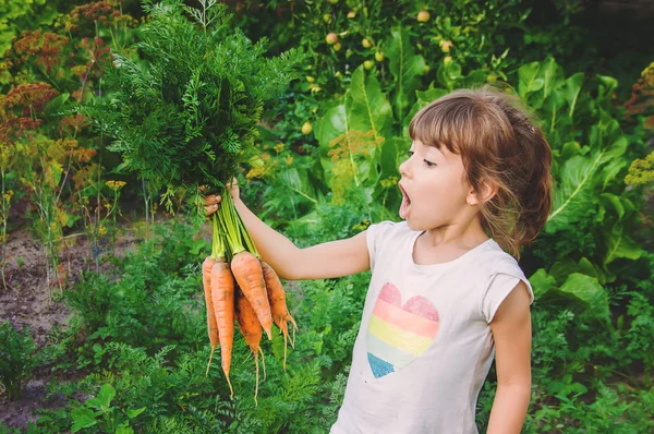유기농 아이의 선택적 초점입니다 — 스톡 사진