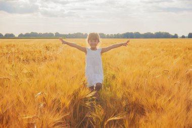 Buğday tarlasında bir çocuk. Seçici odaklanma. Doğa