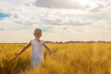 Buğday tarlasında bir çocuk. Seçici odaklanma. Doğa