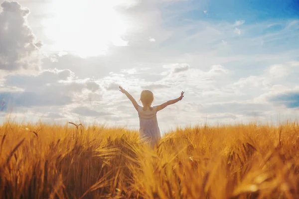 Child Wheat Field Selective Focus Nature — Stock Photo, Image