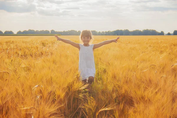 Child Wheat Field Selective Focus Nature — Stock Photo, Image