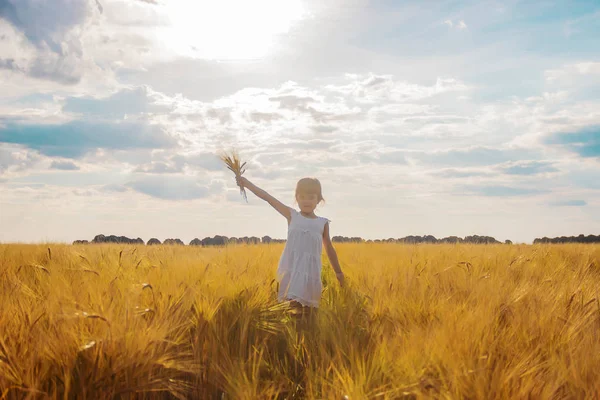 Child Wheat Field Selective Focus Nature — Stock Photo, Image