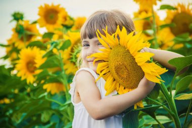 Ayçiçeği tarlası çocuk küçük bir çiftliği var. seçici odak. Doğa.