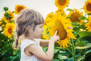 Ayçiçeği tarlası çocuk küçük bir çiftliği var. seçici odak. Doğa.