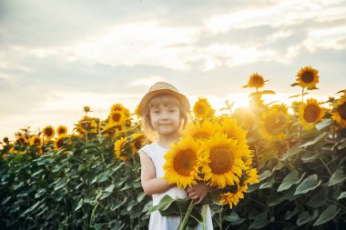 Ayçiçeği tarlası çocuk küçük bir çiftliği var. seçici odak. Doğa.