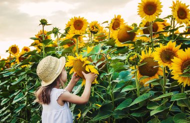 Ayçiçeği tarlası çocuk küçük bir çiftliği var. seçici odak. Doğa.