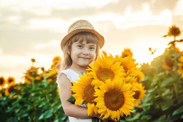 Niño Campo Los Girasoles Pequeño Agricultor Enfoque Selectivo —  Fotos de Stock