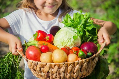 Çocuk ve çiftlikte sebze. Seçici odak. nmature.