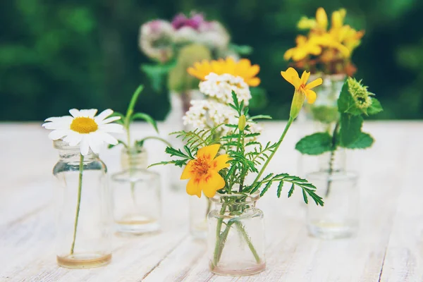 Kräuterextrakte Kleinen Flaschen Selektiver Fokus Natur — Stockfoto