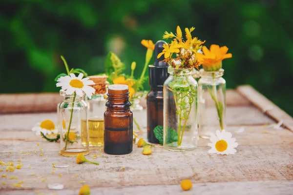 Extracts Herbs Small Bottles Selective Focus Nature — Stock Photo, Image