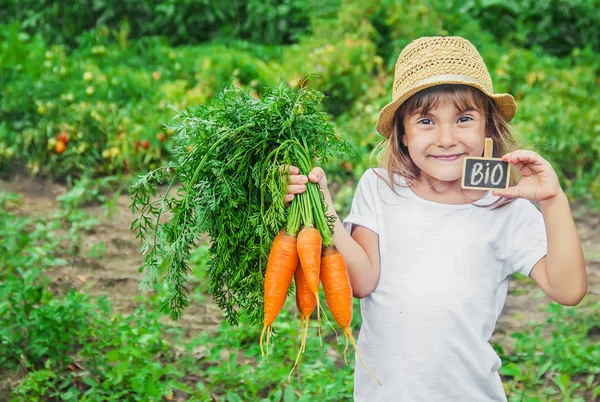 Anak Dan Sayuran Peternakan Fokus Selektif Dewasa — Stok Foto