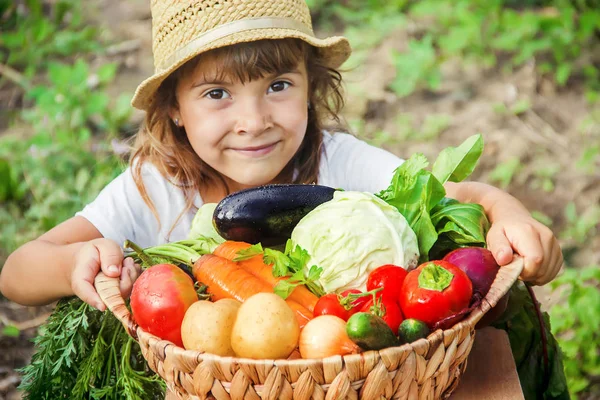 Barn Och Grönsaker Gården Selektivt Fokus Nmature — Stockfoto