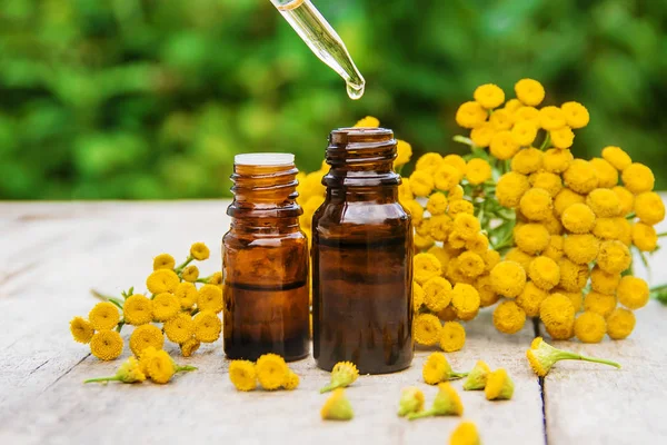 Extrato Medicinal Tansy Tintura Decocção Óleo Uma Pequena Natureza Garrafa — Fotografia de Stock