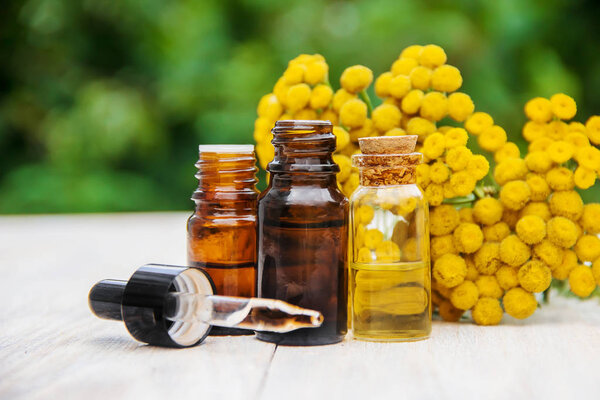 tansy medicinal extract, tincture, decoction, oil, in a small bottle nature