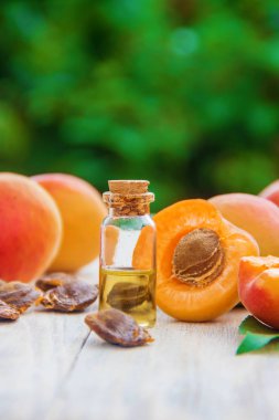 kayısı yağı küçük bir kavanoza. seçici odak. Doğa.