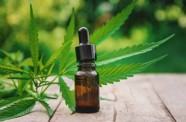Cannabis Gyógynövény Levelek Kezelés Erőleves Tinktúra Kivonat Olaj Szelektív Fókusz — Stock Fotó