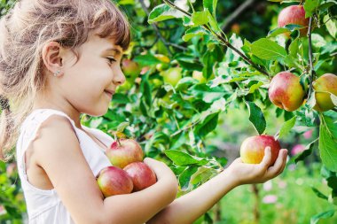 Elmalı çocuk. Seçici odaklanma. Bahçe Yemeği