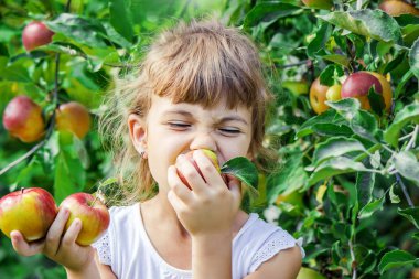 Elmalı çocuk. Seçici odaklanma. Bahçe Yemeği