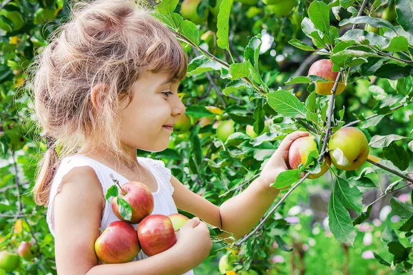 Kind Mit Einem Apfel Selektiver Fokus Gartennahrung — Stockfoto