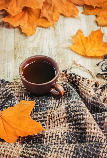 居心地の良い紅葉背景にお茶のカップ 選択と集中 — ストック写真