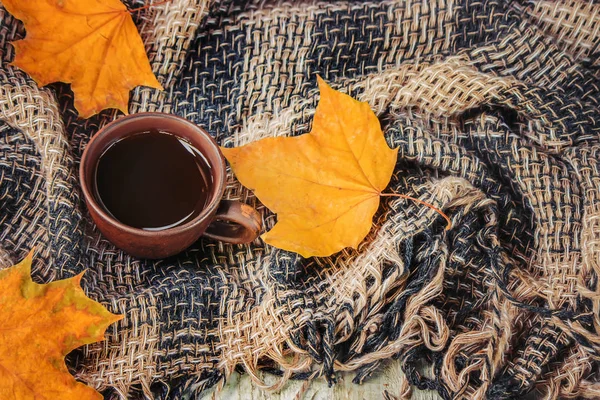 居心地の良い紅葉背景にお茶のカップ 選択と集中 — ストック写真