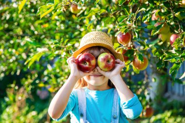 Çocuk çocuk bir elma ile. Seçici odak. Bahçe gıda