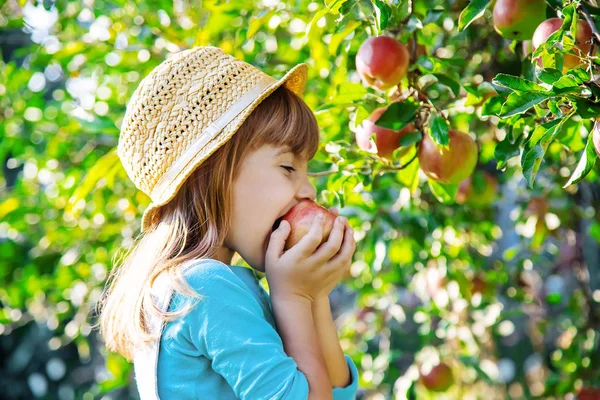Child Child Apple Selective Focus Garden Food — Stock Photo, Image