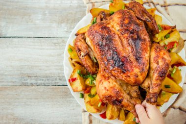 Kızarmış tavuk. Şükran günü. Seçici odak gıda et