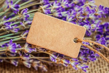 Kurutulmuş lavanta çiçekleri ve metin için bir etiket. Seçici odak. Doğa.