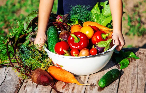 Barn Och Grönsaker Gården Selektivt Fokus Nmature — Stockfoto