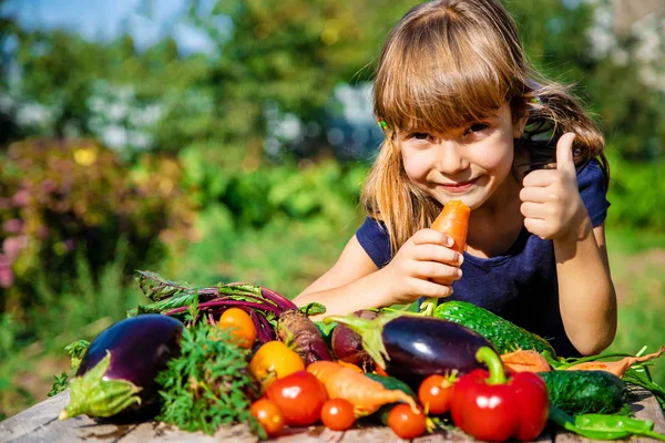 Barn Och Grönsaker Gården Selektivt Fokus Nmature — Stockfoto