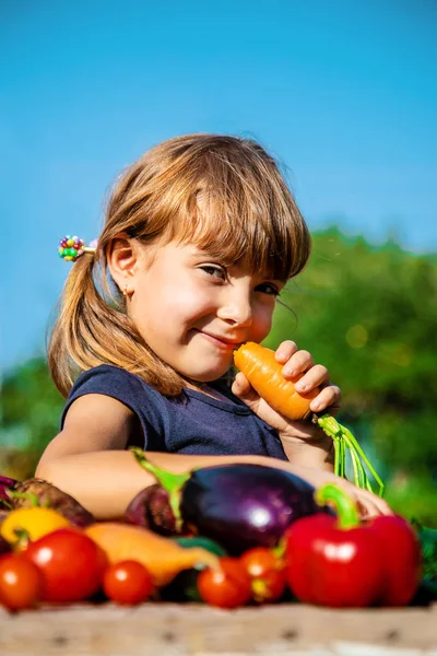 Kind Und Gemüse Auf Dem Bauernhof Selektiver Fokus Nreif — Stockfoto