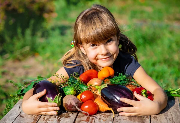 Дитячі Овочі Фермі Вибірковий Фокус Яна — стокове фото