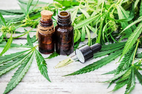 Cannabis Herb Leaves Treatment Broth Tincture Extract Oil Selective Focus — Stock Photo, Image