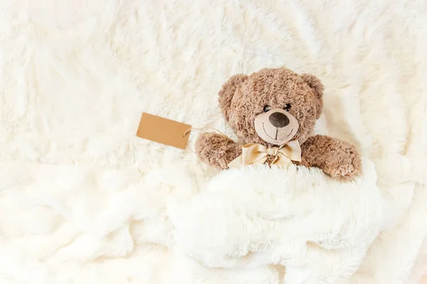 Children Toy Sleeps Blanket Copy Space Selective Focus Kids — Stock Photo, Image